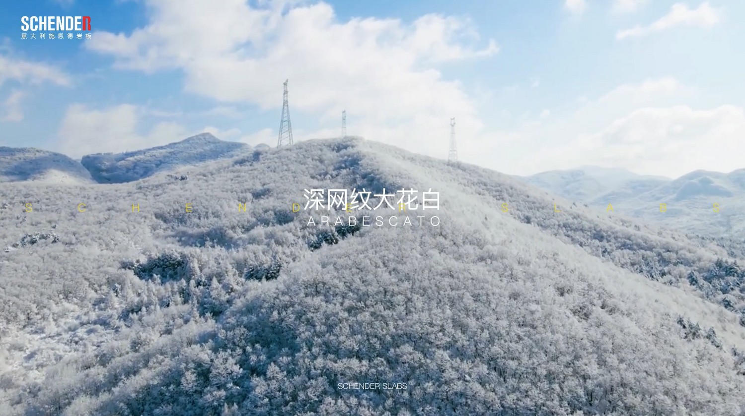 视频插图